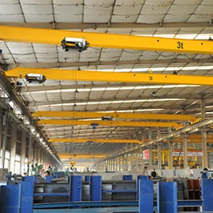 Crane Hoist Manufacturer